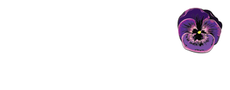 Andwa Consulting